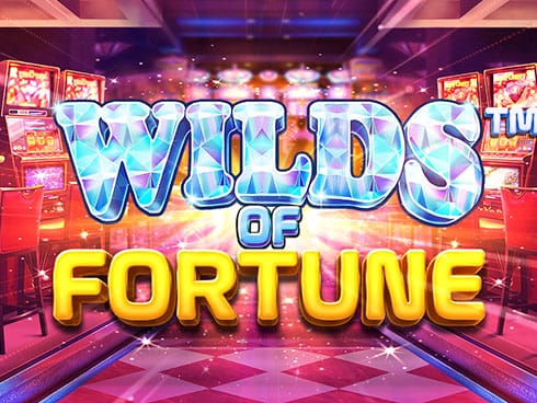 وائلڈز آف فارچیون game screenshot