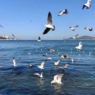 Arshad Nadeem avatar